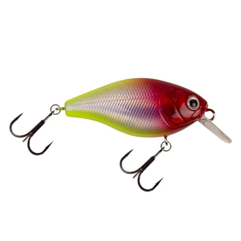 fiskeonline202606081309023258446