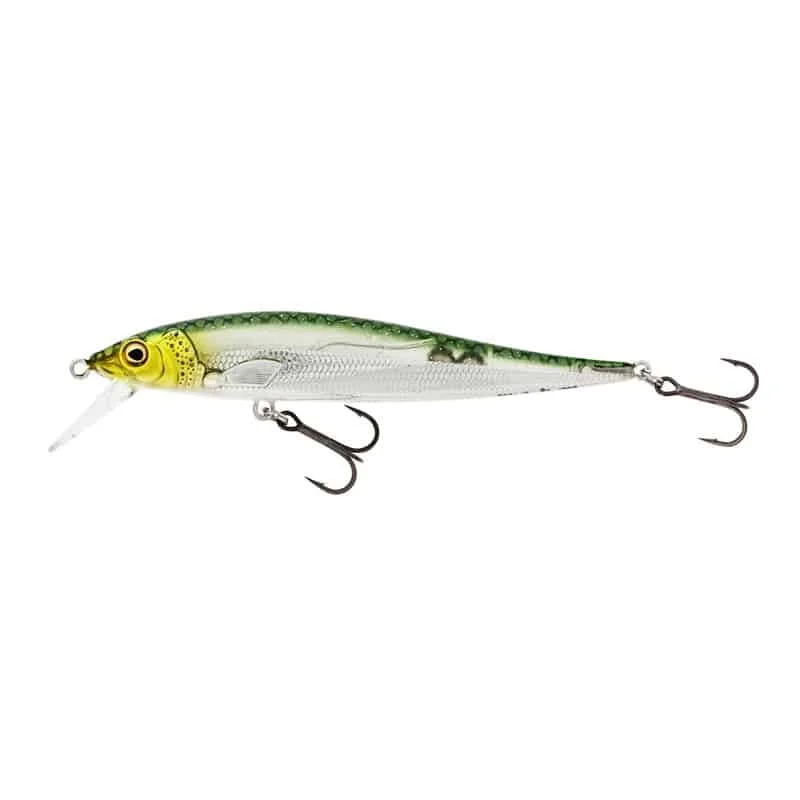 fiskeonline202606081323423260924