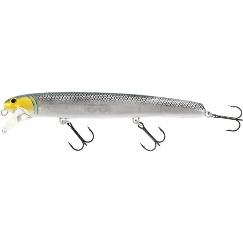 fiskeonline202606081339373263671
