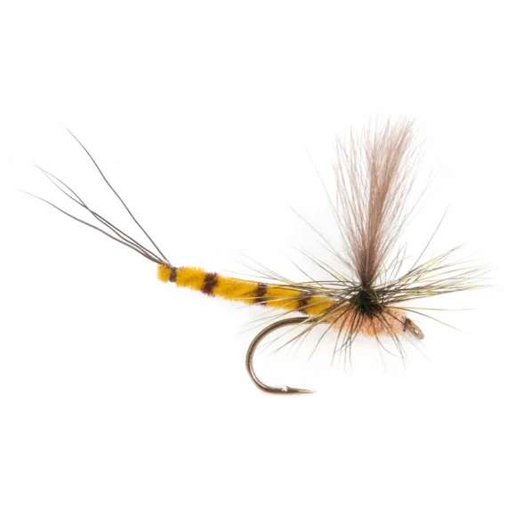 sportfiskeprylar202606081203483246499