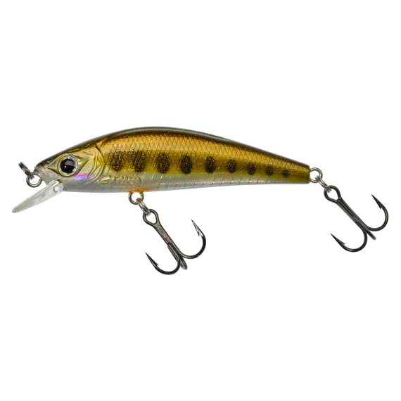 sportfiskeprylar202606081346503264754