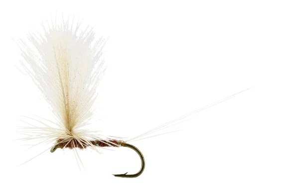 sportfiskeprylar202606081939353326666