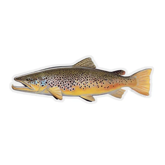sportfiskeprylar202606082157423344827