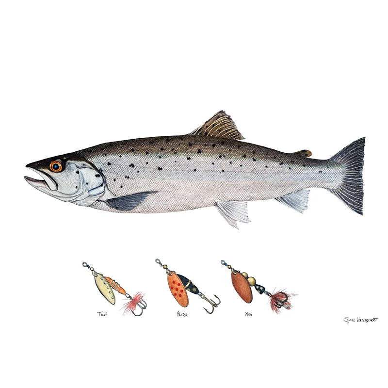 sportfiskeprylar202606082203513345637