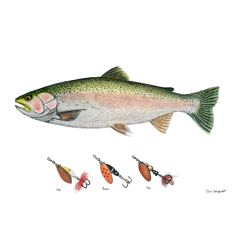 sportfiskeprylar202606082204013345659