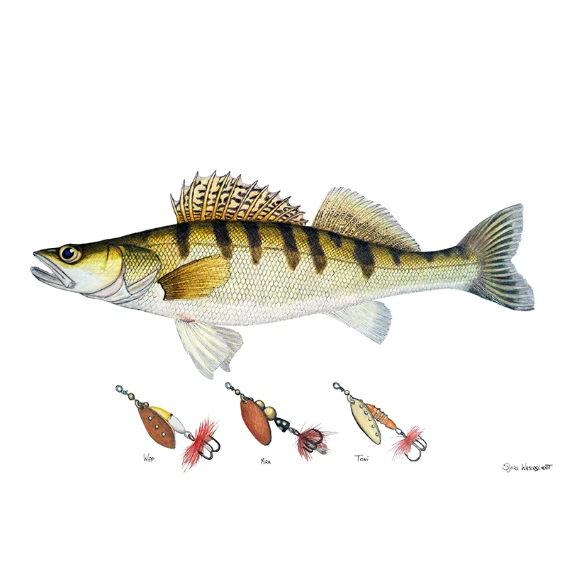 sportfiskeprylar202606082204063345670